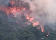Incendies : les sautes de feu, cauchemars incandescents des pompiers
