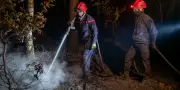 Incendies : qui sont les auteurs des feux de forêt ?