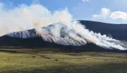 Incendies ravageurs : Écosse, Algérie, Italie parmi les pays les plus touchés