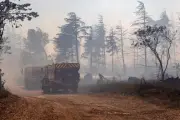 Incendies : six interpellations, Nuñez promet une réponse implacable