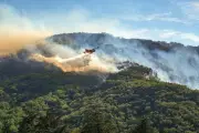 Incendies: une proposition transpartisane pour mieux gérer la forêt