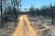 Incendies volontaires ou involontaires : les sanctions pénales encourues