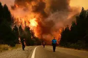 Incendies volontaires : profil type des auteurs dévoilé