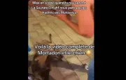 Influenceur Mortadon filmé frappant un chien en Albanie, plainte déposée
