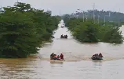 Inondations en Chine : des animaux du zoo de Guigang s'échappent
