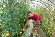 Installation d'un maraîcher bio dans l'arrière-pays niçois malgré la crise