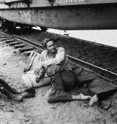 Jack London : le rail buissonnier du trimard