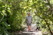 Jardin du Réal : un havre de 1 200 espèces obtient le label Jardin remarquable