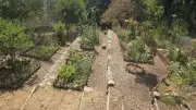 Jardin médiéval de l'abbaye : nature et histoire en été
