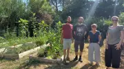 Jardin partagé : les enfants de l'ALSH s'initient au potager