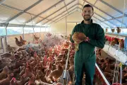 Jeunes citadins deviennent éleveurs de poules pondeuses à Séranon