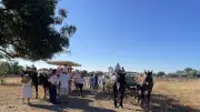 Journée à l'ancienne à Marsillargues : traditions bouvines et animations
