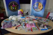 Kétamine dans croquettes : 4 interpellations près de Vence