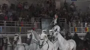 La Cavalerie enchantée émerveille Lunel avec Lorenzo