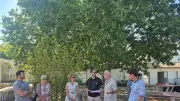 La cour Oasis de Saint-Mathieu-de-Tréviers séduit Montarnaud
