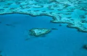 La Grande Barrière de corail échappe à la liste du patrimoine en péril de l'Unesco