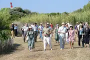 La pointe des Sardinaux réaménagée : deux vestiges historiques révélés