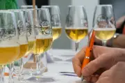 La production française de bière mise à l'honneur