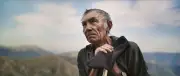 «Le Berger et les Ours» : un documentaire qui explore l'ursidé