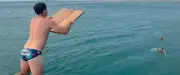 Le bouclier du SC Leucate coule à pic après un lancer malheureux