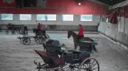 Le Haras national d’Uzès dévoile ses nocturnes estivales