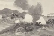 Le requin qui a livré le secret d'un naufrage de 1889