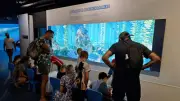 Le Seaquarium du Grau-du-Roi : immersion et sensibilisation marine