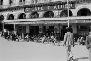 Le Secret d'Alger d'Adib Benazzi : une traque peut en cacher une autre