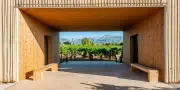 Le vignoble de Majorque prend son envol