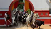 Lei Raouba Vesso : trophée de l'Avenir et festivités à Aimargues