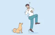 Les animaux ne sentent pas la peur mais ses effets physiologiques