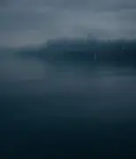 Les maux du lac Léman sous l'objectif de Marie Magnin