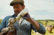 Les Moutons Détectives : carton sur Prime Video avec Hugh Jackman