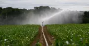 Loi agricole : Barbut dénonce une menace pour la démocratie de l'eau
