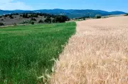 Loi agricole : les mesures clés du compromis