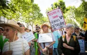 Loi d'urgence agricole : genèse d'un texte empoisonné