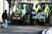 Loi d'urgence agricole : le Parlement tranchera sur les pesticides interdits