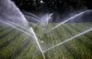 Loi d'urgence agricole : tensions autour de l'eau et des pesticides