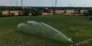 Loi urgence agricole : accord en commission mixte paritaire sur mesures contestées eau et pesticides