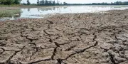 Loi urgence agricole : le Sénat durcit les articles sur l'eau, embarrassant le gouvernement
