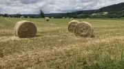 Lozère : restrictions renforcées pour les travaux agricoles face au risque incendie