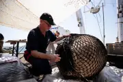 L'épave de la Lune : un Pompéi sous-marin du XVIIe siècle