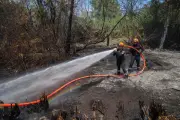 L'urgence d'agir face au réchauffement climatique