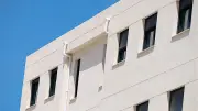 Lyon : un homme dépèce un mouton dans son immeuble pendant l'Aïd