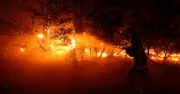 Macron active le mécanisme européen face aux incendies en Gironde et dans les Landes