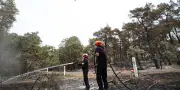 Macron en forêt de Fontainebleau après les incendies dévastateurs