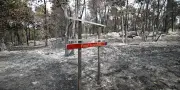 Macron à Fontainebleau après incendie : 400 hectares détruits