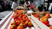 Manduel : appel à candidatures pour le nouveau marché hebdomadaire