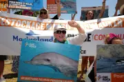 Manifestations contre la captivité des orques et dauphins à Marineland