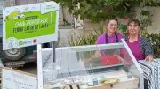 Marchés des producteurs de pays : quatre soirées estivales à Saint-Pargoire